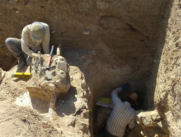 کشف یک بنای باشکوه ساسانی در جنوب غرب مشهد