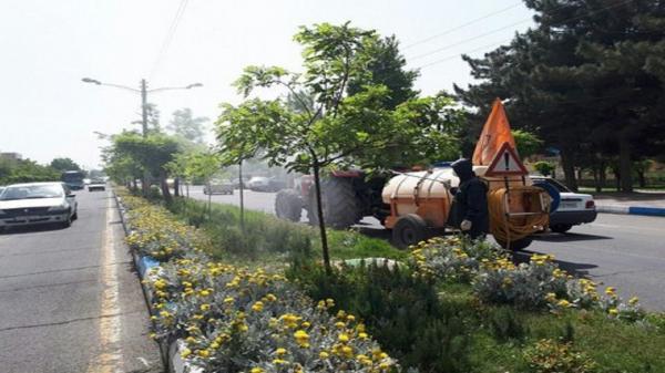 سمپاشی و درخت شویی برای کنترل آفات درختان اصفهان سمپاشی و درخت شویی برای کنترل آفات درختان اصفهان