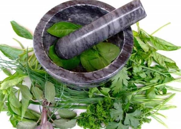پانیک را با گیاهان دارویی درمان کنیم پانیک را با گیاهان دارویی درمان کنیم